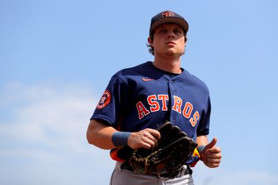 Houston Astros v St. Louis Cardinals