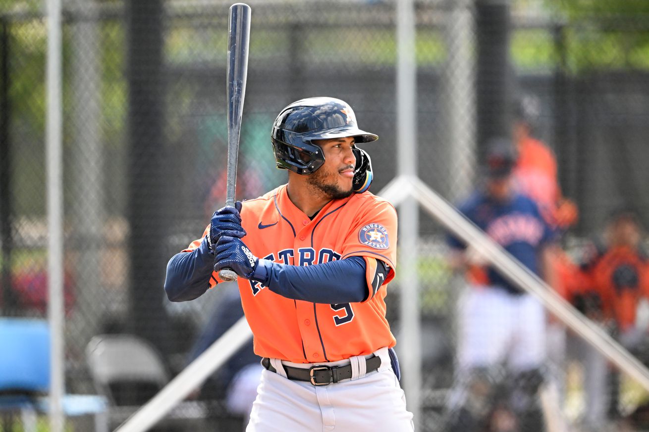 New York Mets v Houston Astros minor leaguers