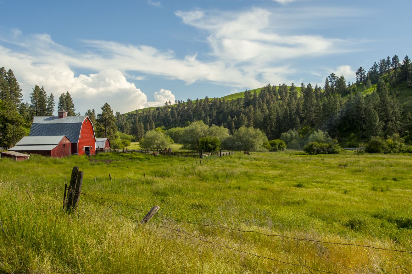 A red barn in a valley in Whitman County in the Palouse near Pullman, Eastern Washington State, USA.