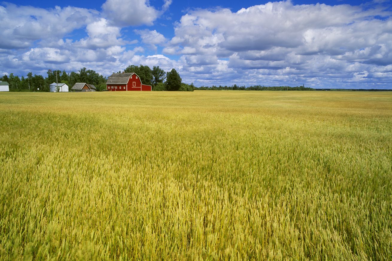 Agriculture