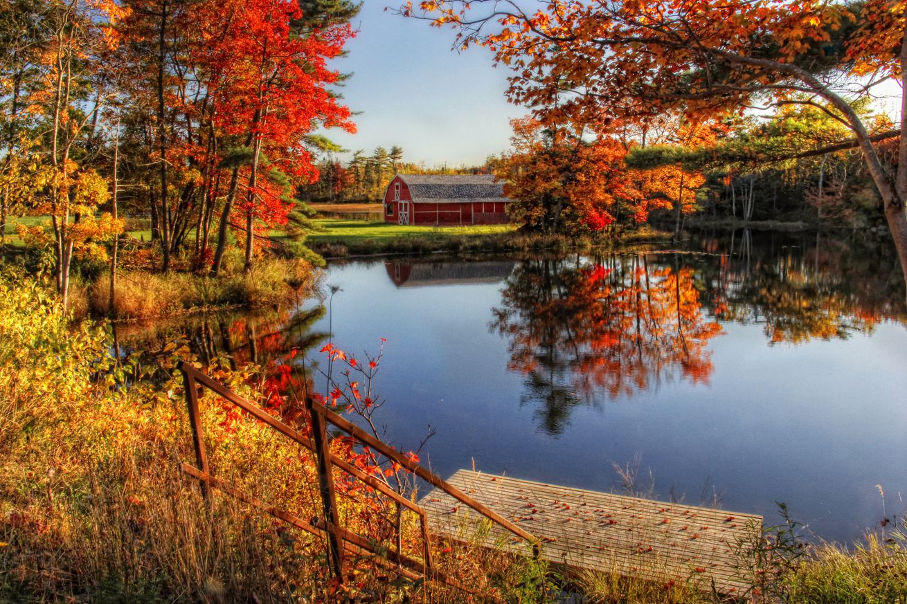 Fall Splendor