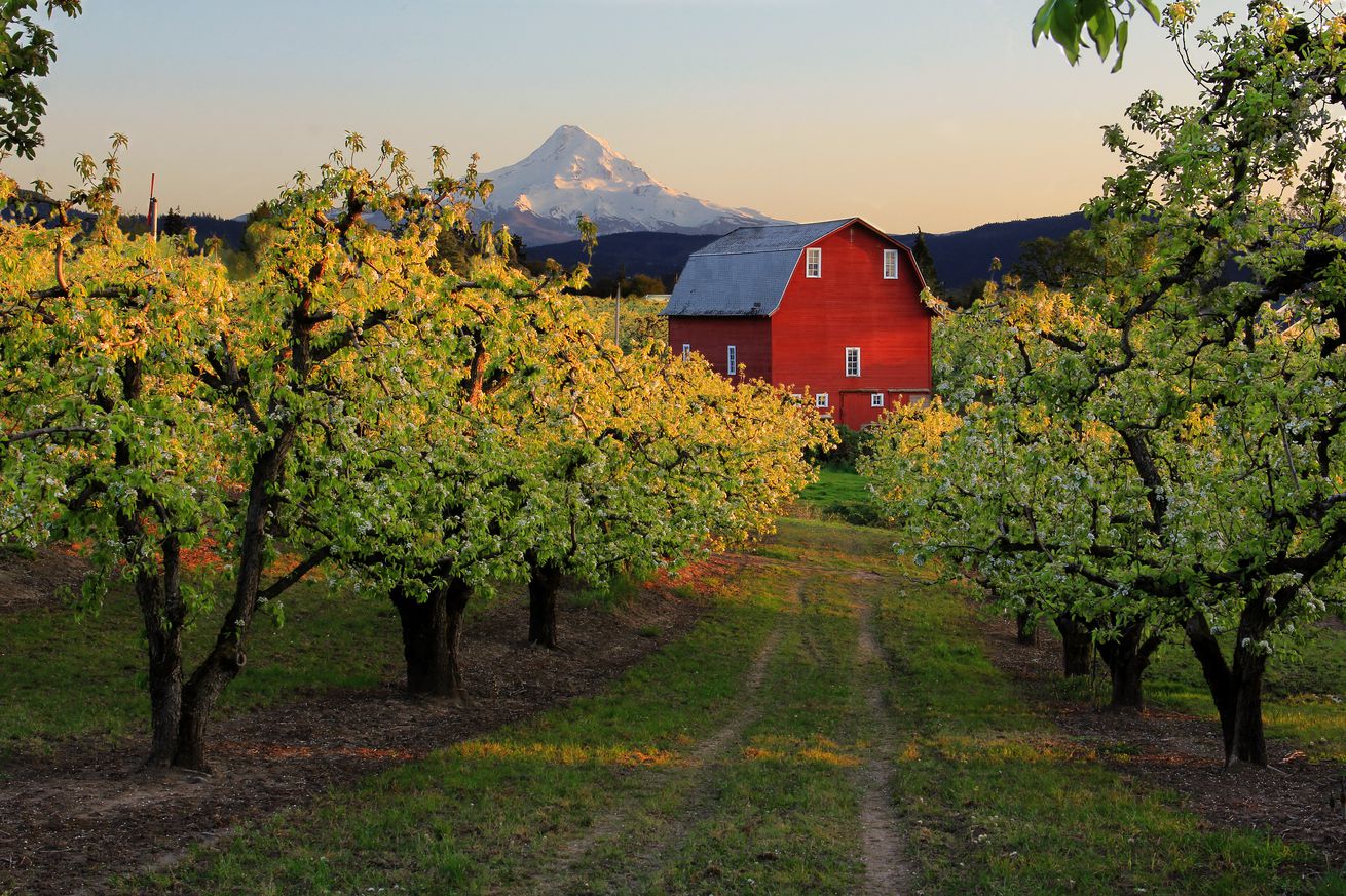 Red Barn