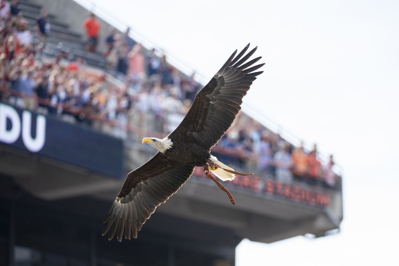 Vanderbilt v Auburn