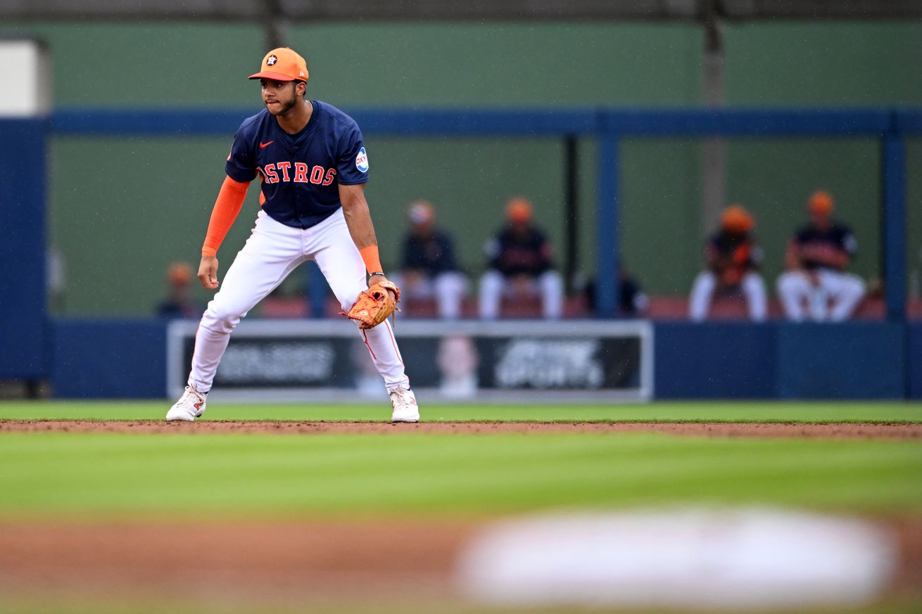 Washington Nationals v Houston Astros