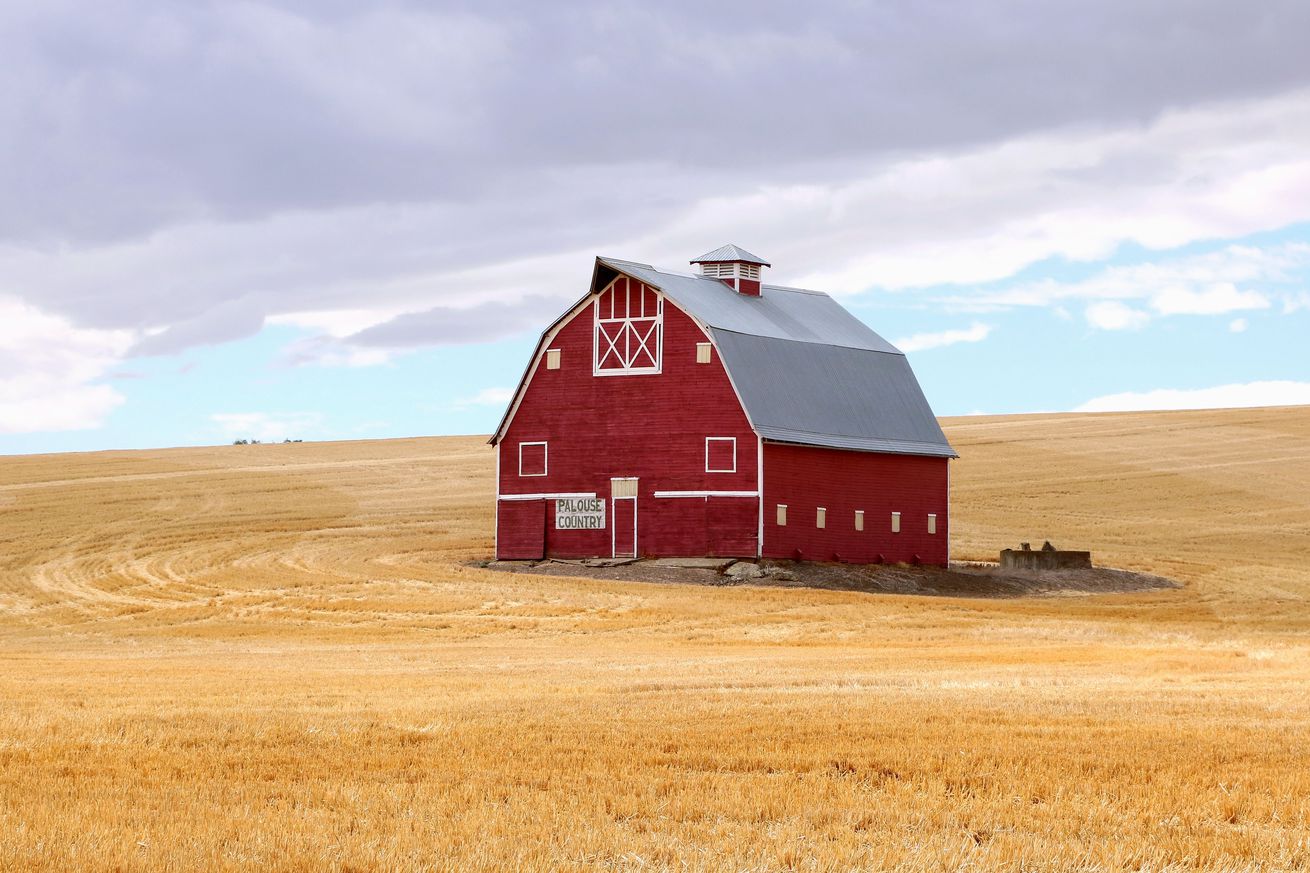 Wheat harvest in Palouse hills of southeastern Washington state